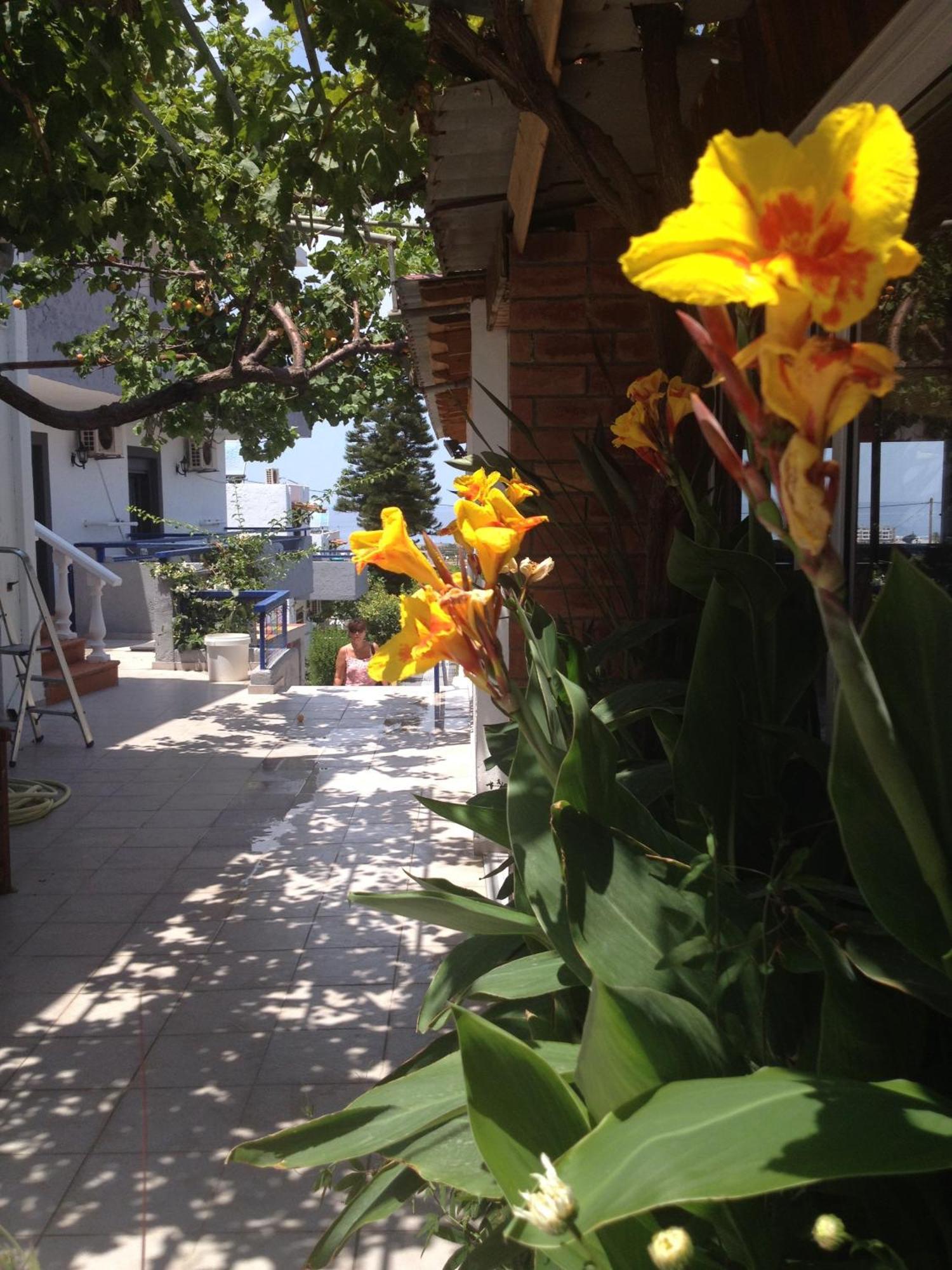 Villa Marina Hersonissos  Luaran gambar